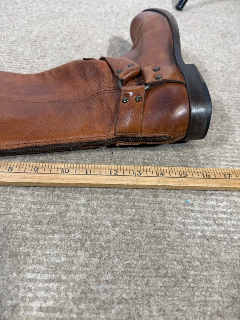 Frye phillip harness
